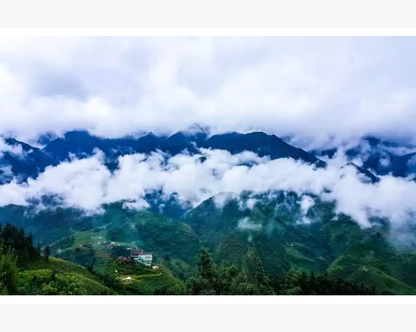 刮痧：是中医疗法，既有好处亦有坏处，但对失眠患者有效